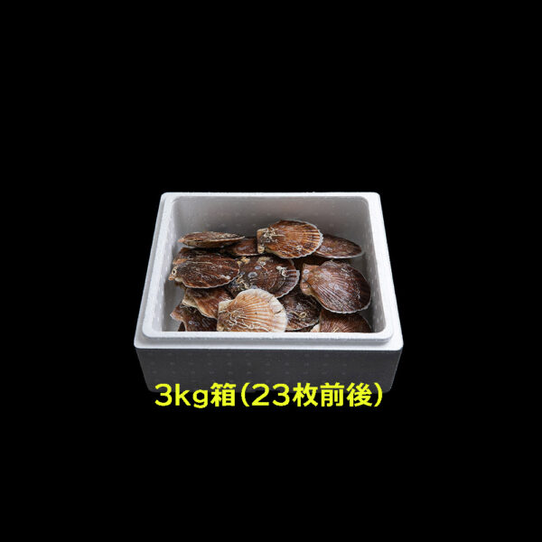 ホタテ2年貝 食レポ キャンペーン - 画像 (2)