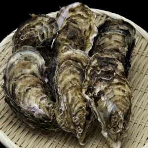 秀峰牡蠣特大 生食用 10個